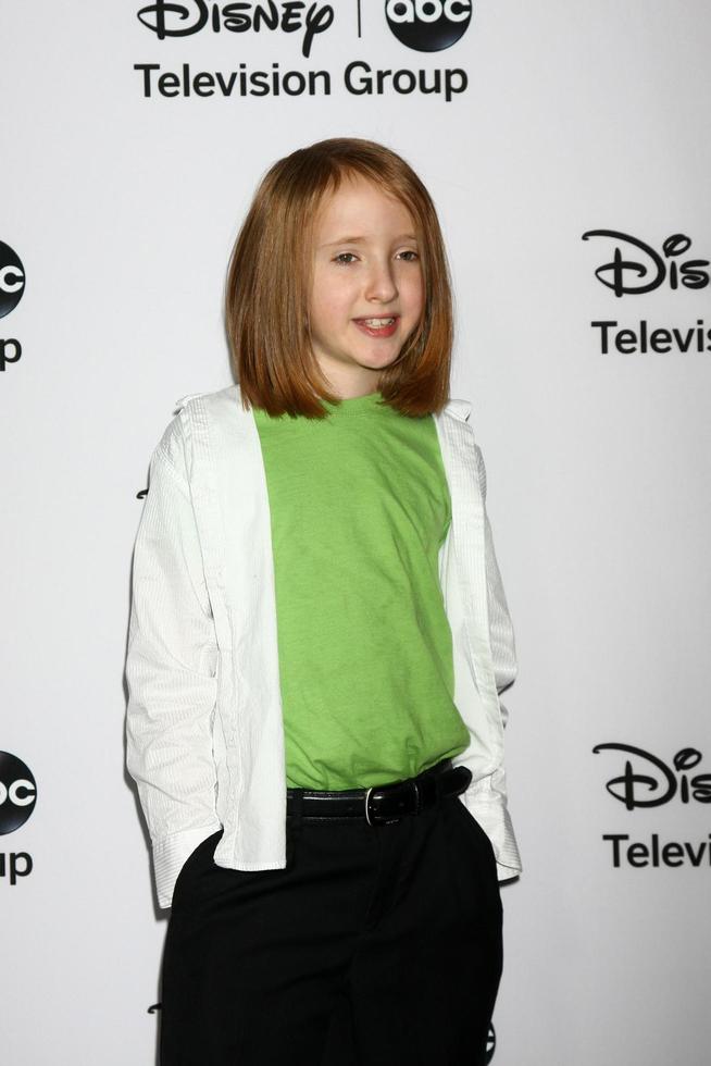 LOS ANGELES, JAN 10 -  Ian Patrick attends the ABC TCA Winter 2013 Party at Langham Huntington Hotel on January 10, 2013 in Pasadena, CA photo