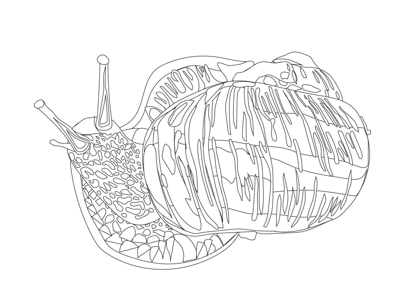 caracol de uva grande. estilo garabato. ilustración de stock vectorial. Aislado en un fondo blanco. vector