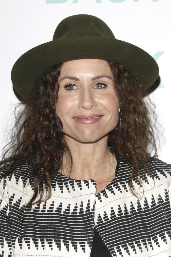 LOS ANGELES, OCT 21 -  Minnie Driver at the I Smile Back Special Screening at the ArcLight Hollywood Theaters on October 21, 2015 in Los Angeles, CA photo