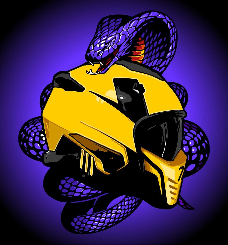 Helmet and snake vector