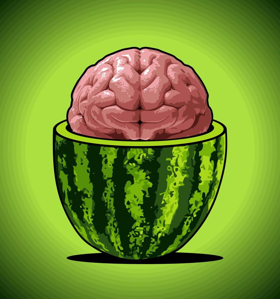 Watermelon fills the human brain vector