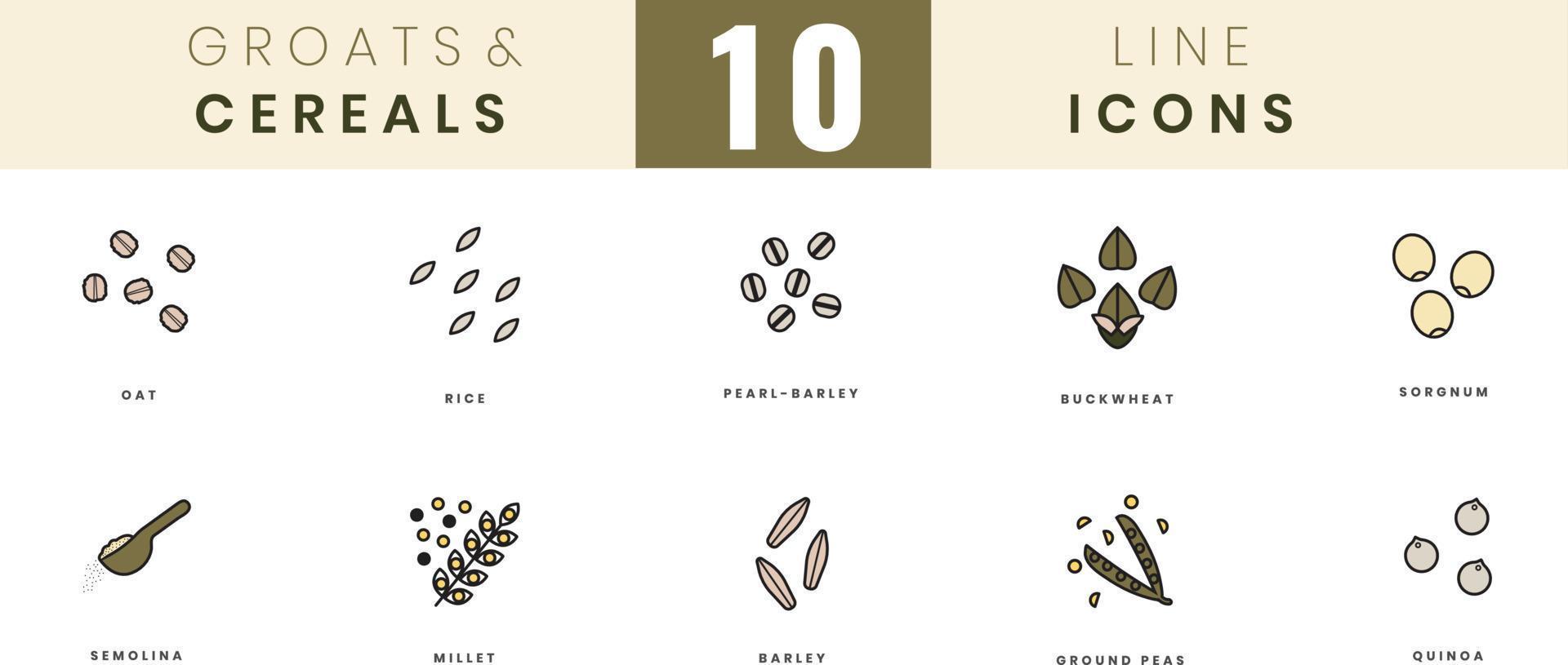 Grains and cereals icons. In colored outline style. For wesite design, mobile app, software vector