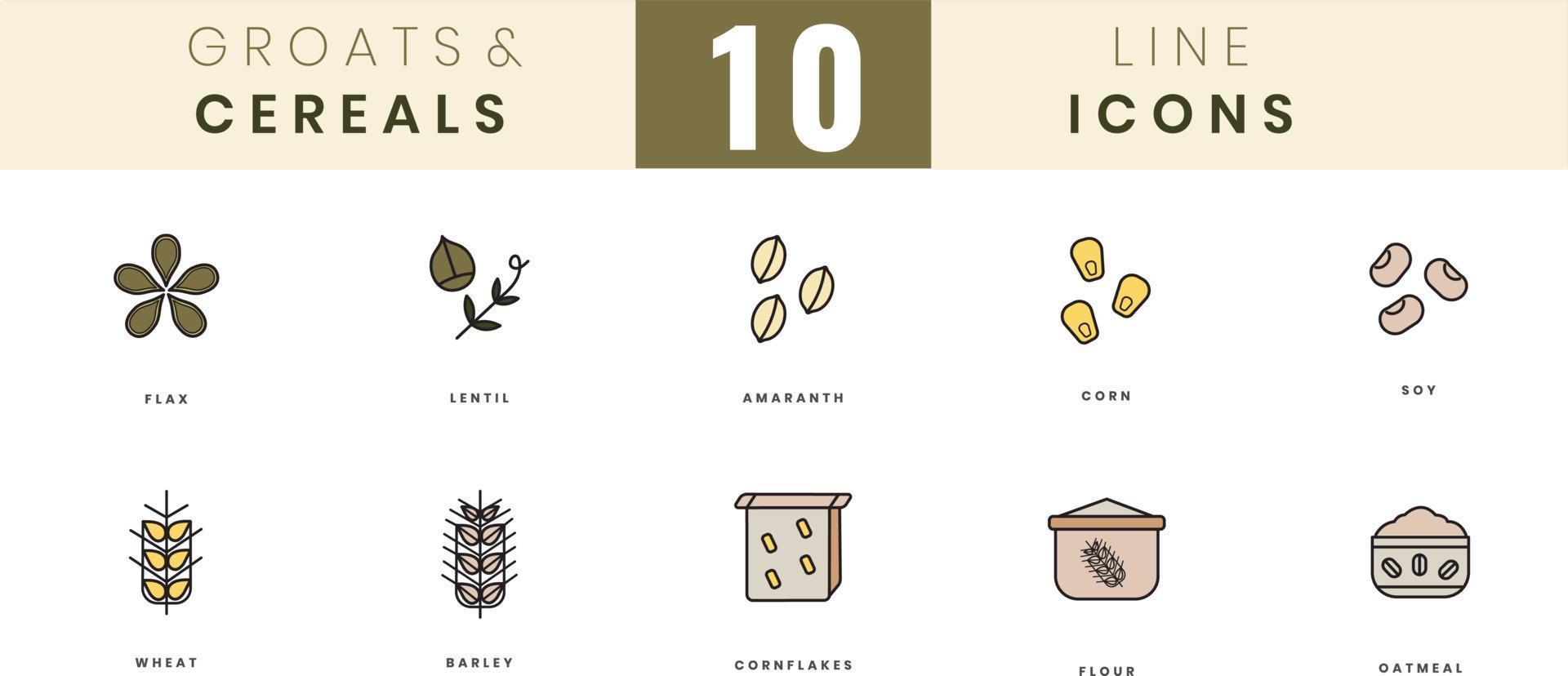 Grains and cereals icons. In colored outline style. For wesite design, mobile app, software vector