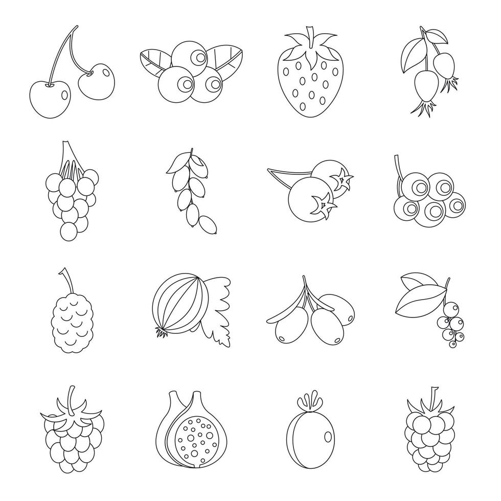 Berries icons set, Outline style vector