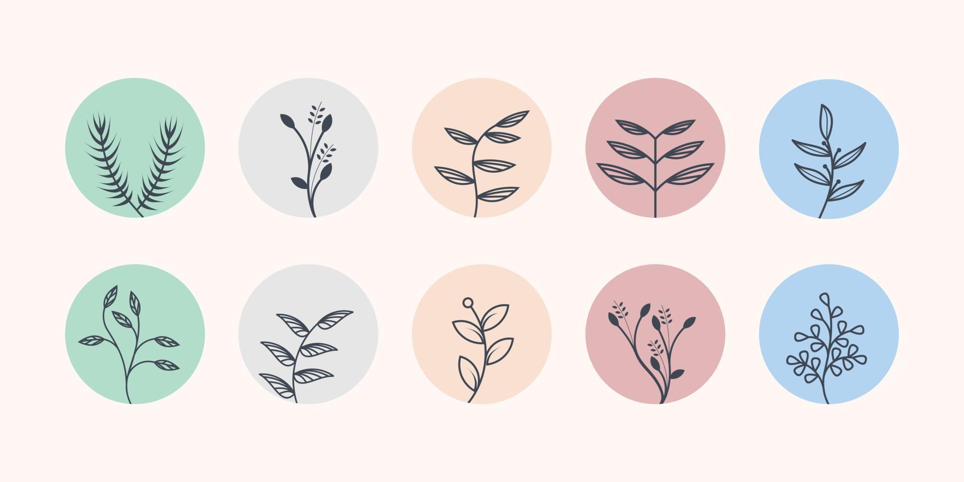 colección de logotipos de hojas de naturaleza con concepto de minimalismo vector premium
