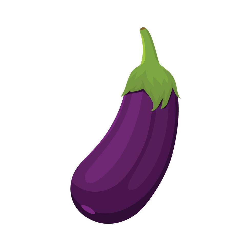 Flat vector of Aubergine or Eggplant isolated on white background. Flat illustration graphic icon