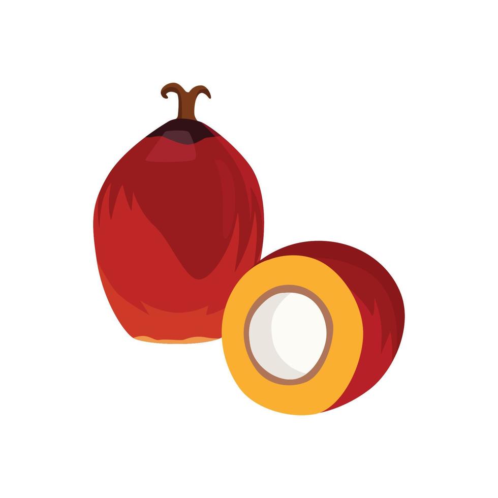 vector plano de fruta de palma aislado sobre fondo blanco. icono gráfico de ilustración plana