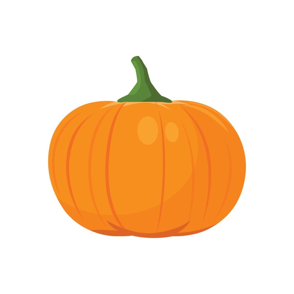 Flat vector of Pumpkin isolated on white background. Flat illustration graphic icon