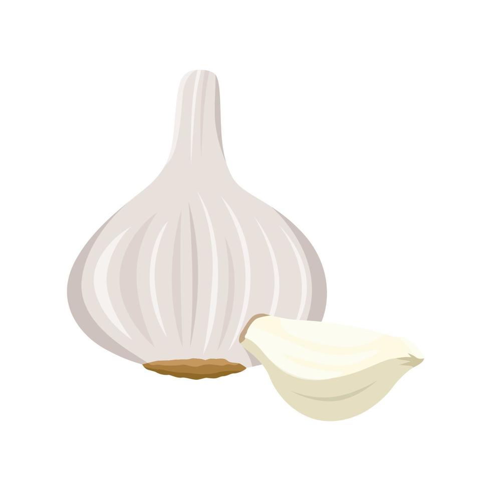 Flat vector of Garlic isolated on white background. Flat illustration graphic icon