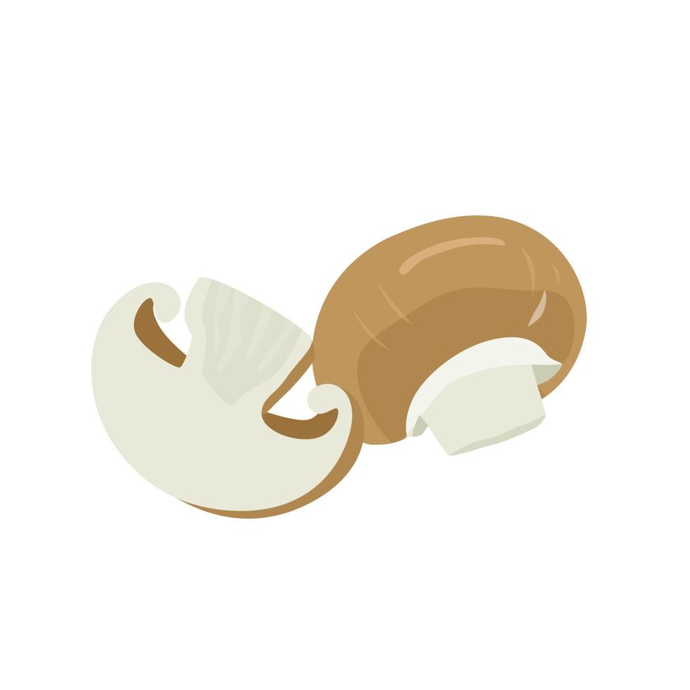 Flat vector of Crimini mushroom isolated on white background. Flat illustration graphic icon