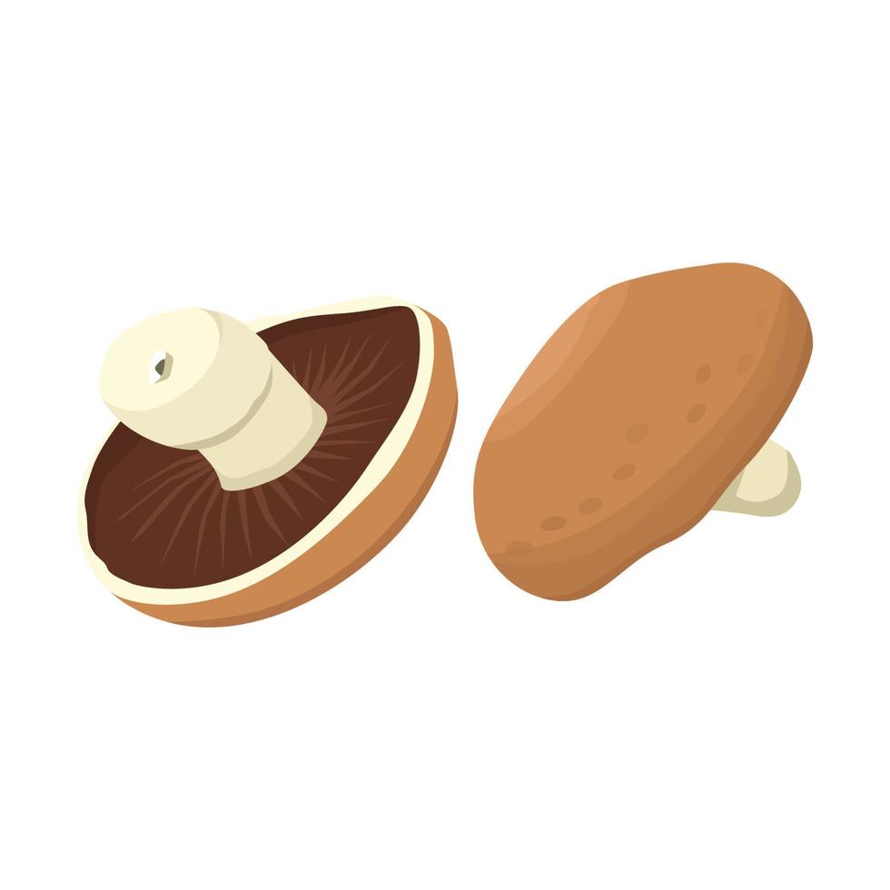 Flat vector of Portobello Mushroom isolated on white background. Flat illustration graphic icon