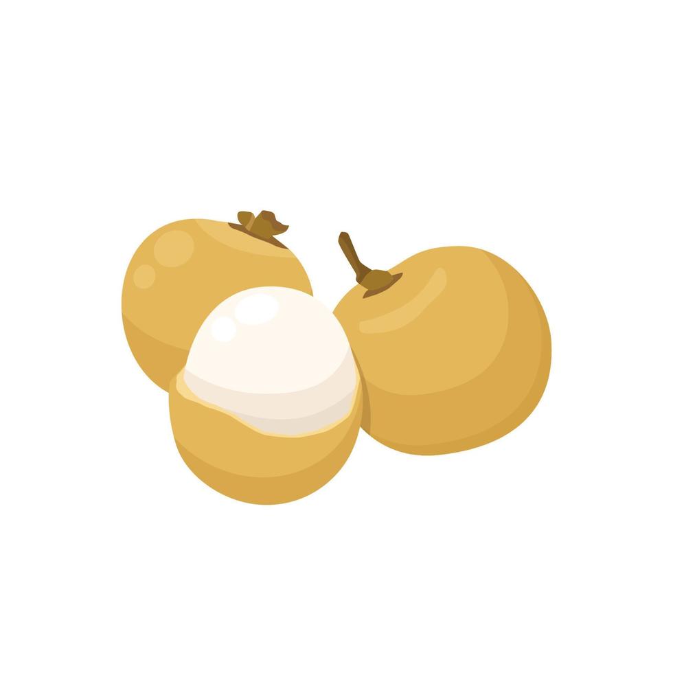 vector plano de fruta longan aislado sobre fondo blanco. icono gráfico de ilustración plana