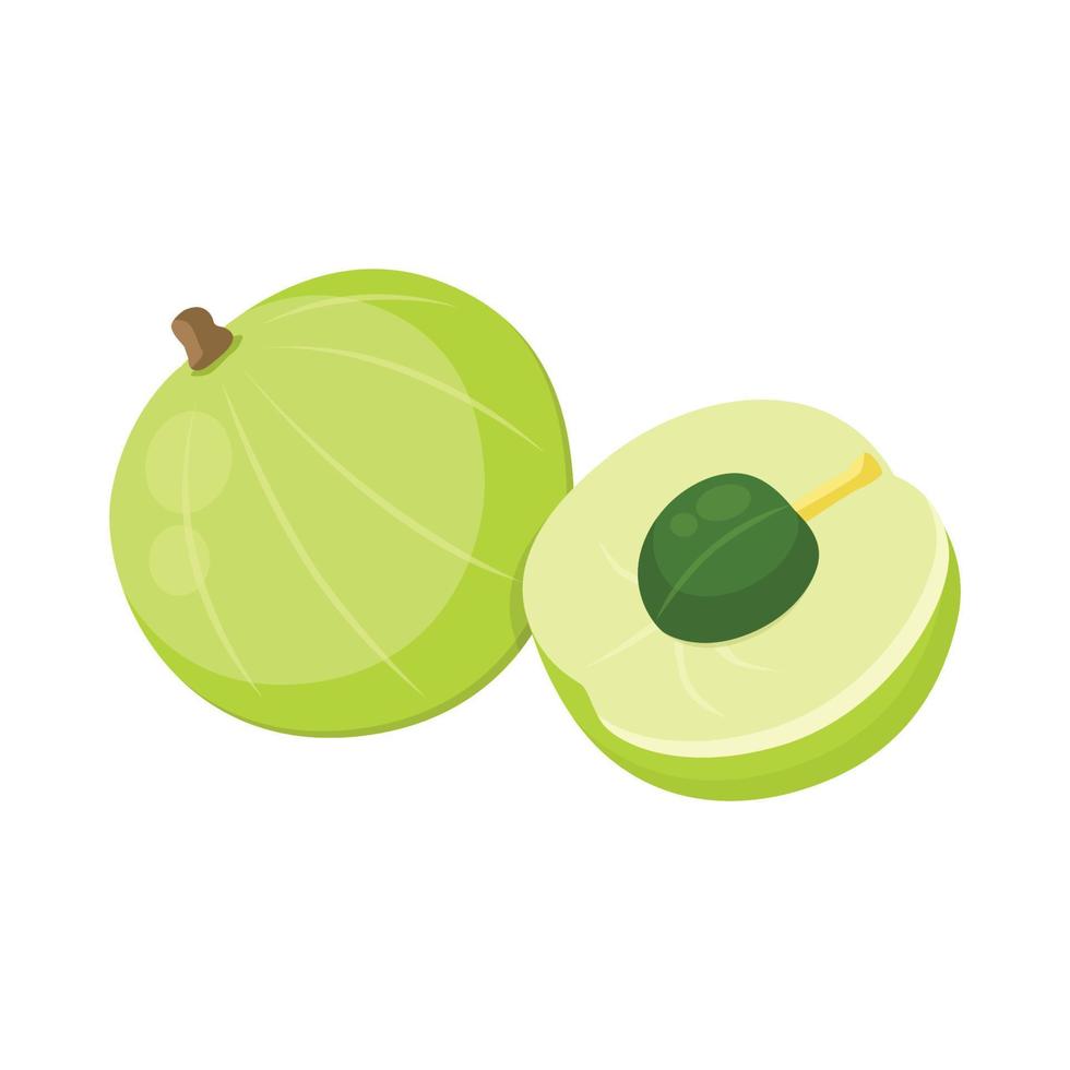 Flat vector of Gooseberry isolated on white background. Flat illustration graphic icon