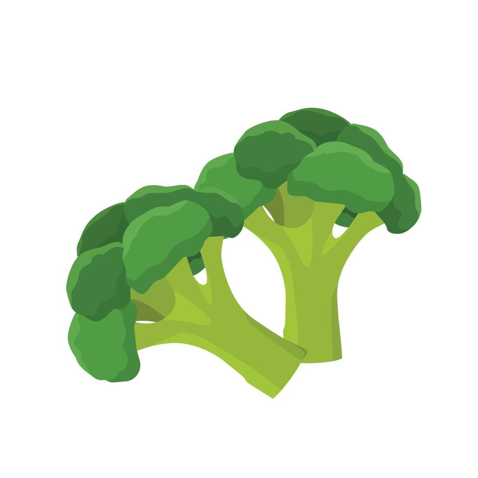Flat vector of Broccoli isolated on white background. Flat illustration graphic icon