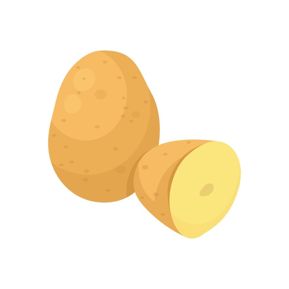 Flat vector of Potato isolated on white background. Flat illustration graphic icon