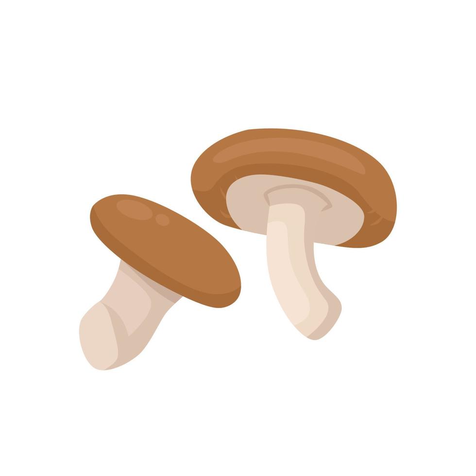 vector plano de hongo shiitake aislado sobre fondo blanco. icono gráfico de ilustración plana