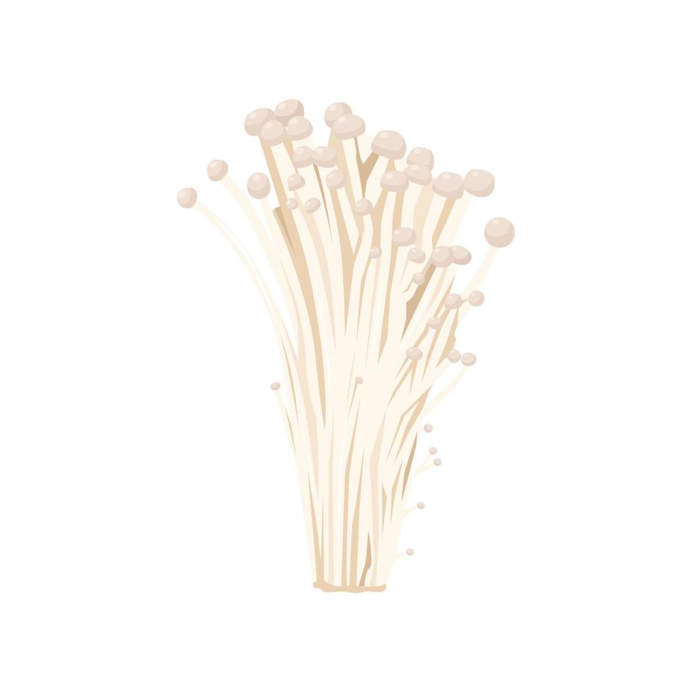 Flat vector of Enoki mushroom isolated on white background. Flat illustration graphic icon