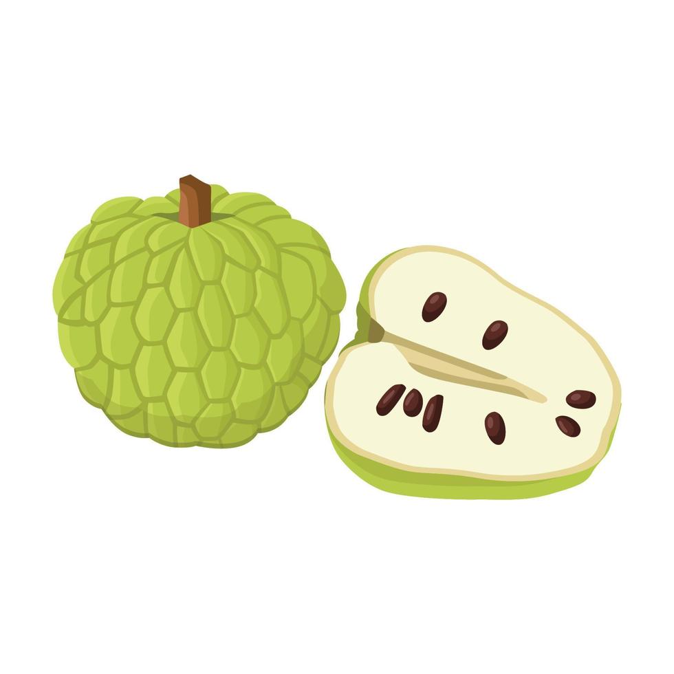 Flat vector of Custard sugar apple or Srikaya, Annona squamose isolated on white background. Flat illustration graphic icon