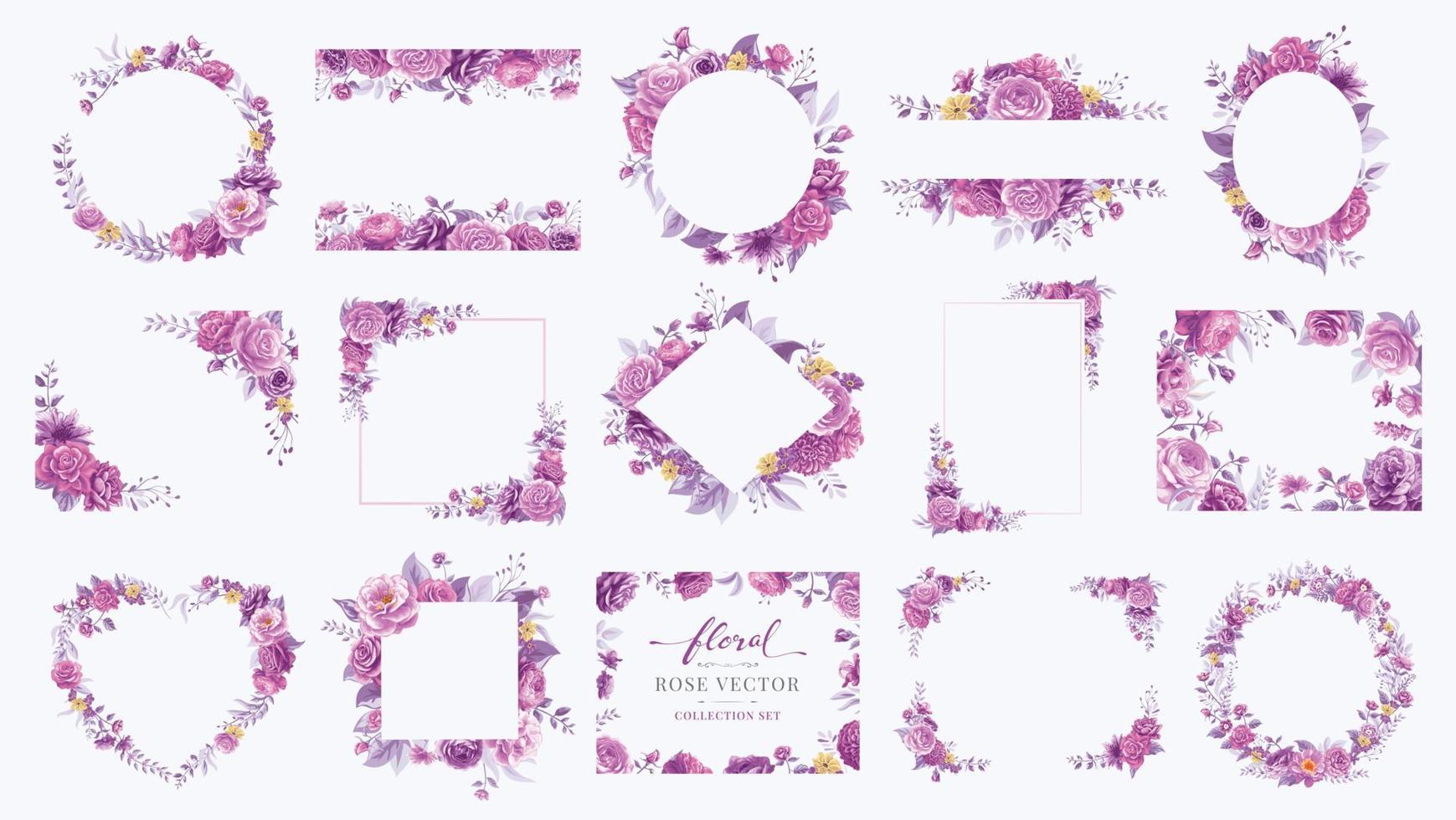 Collection set Beautiful Rose Flower and botanical leaf digital painted illustration for love wedding valentines day or arrangement invitation design greeting card vector
