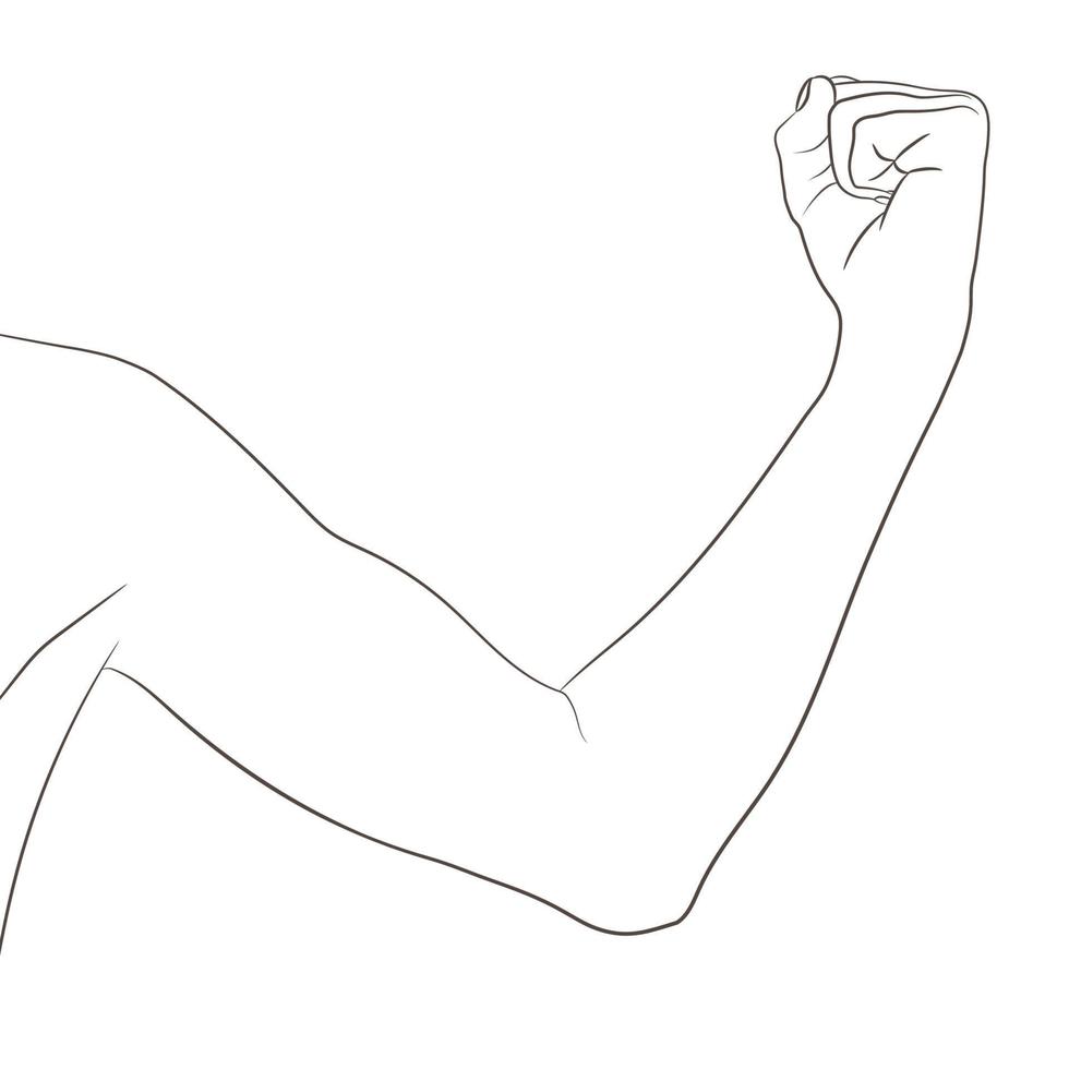 Female biceps, well toned. Elbow-bent arm showing progress after fitness. Vector illustration, black and white contour. Woman sport infographic concept.