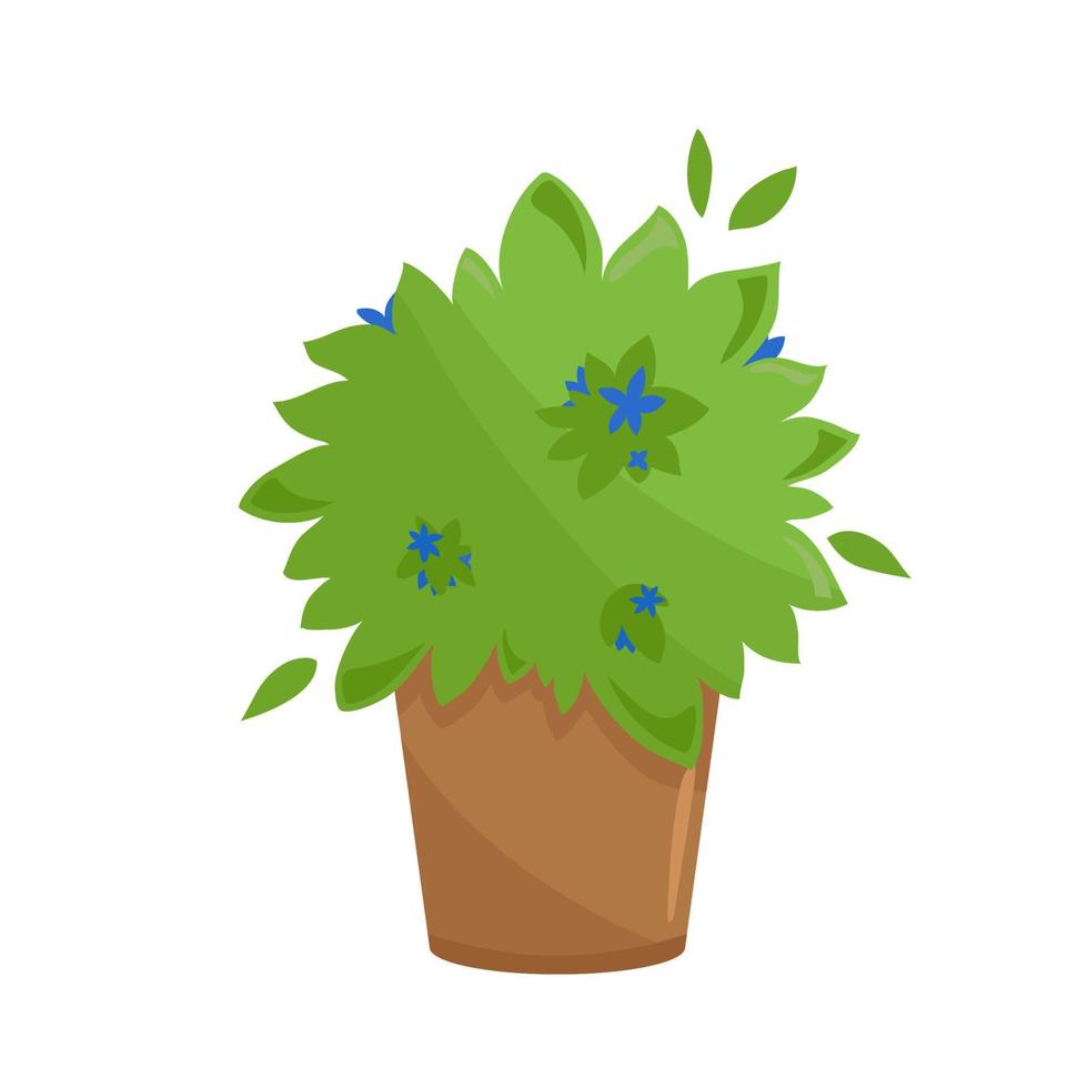 Organic culinary garden on a kitchen windowsill. Potted greenery in terracota clay flowerpot. Cartoon style domestic plant with blue flowers. Vector illustration isolated on white.