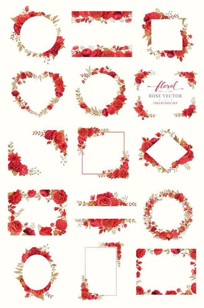 Collection set Beautiful Rose Flower and botanical leaf digital painted illustration for love wedding valentines day or arrangement invitation design greeting card vector