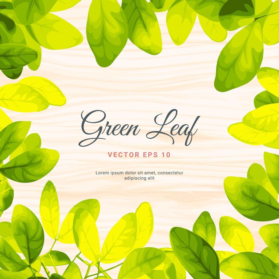 Painted Illustration Vector beautiful Natural green leaf on Wood background