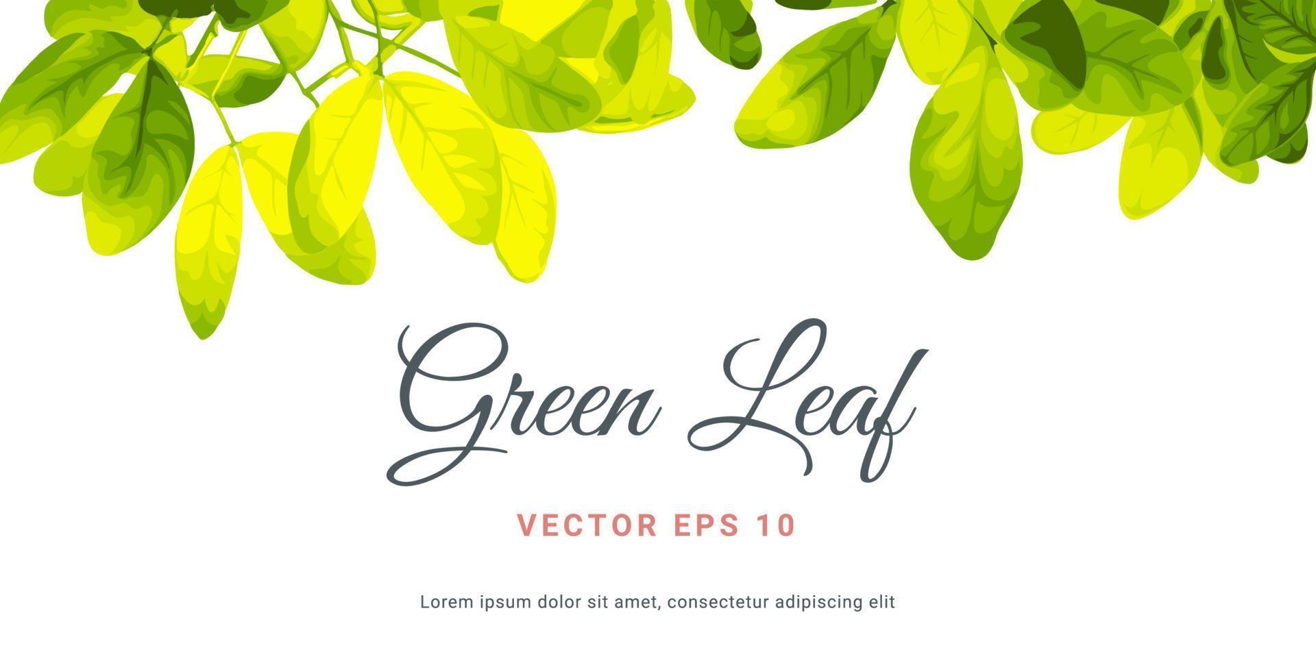 ilustración pintada vector hermosa hoja verde natural sobre fondo blanco