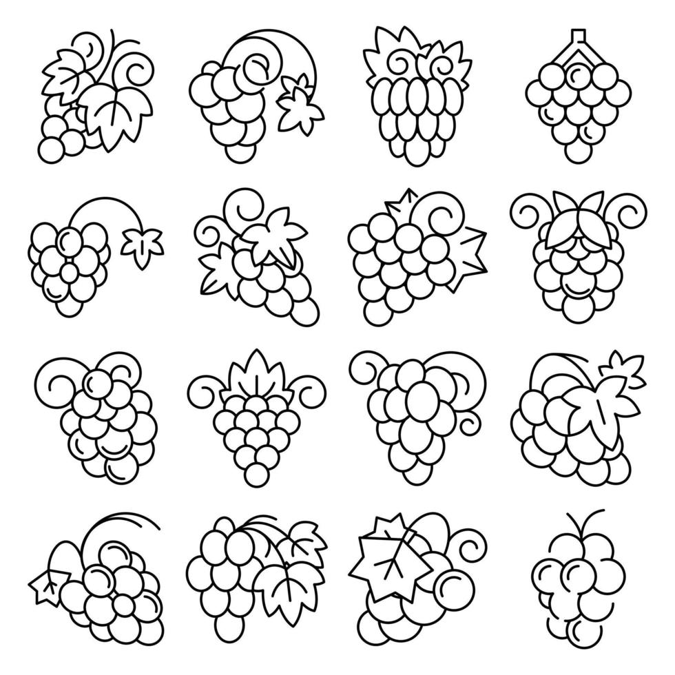 conjunto de iconos de fruta de uva, estilo de esquema vector