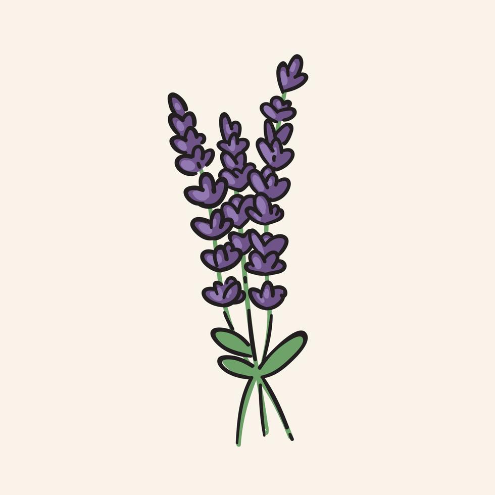 ramo de flores de lavanda dibujado a mano. ilustración de flores de contorno moderno, icono. vector editable, aislado.