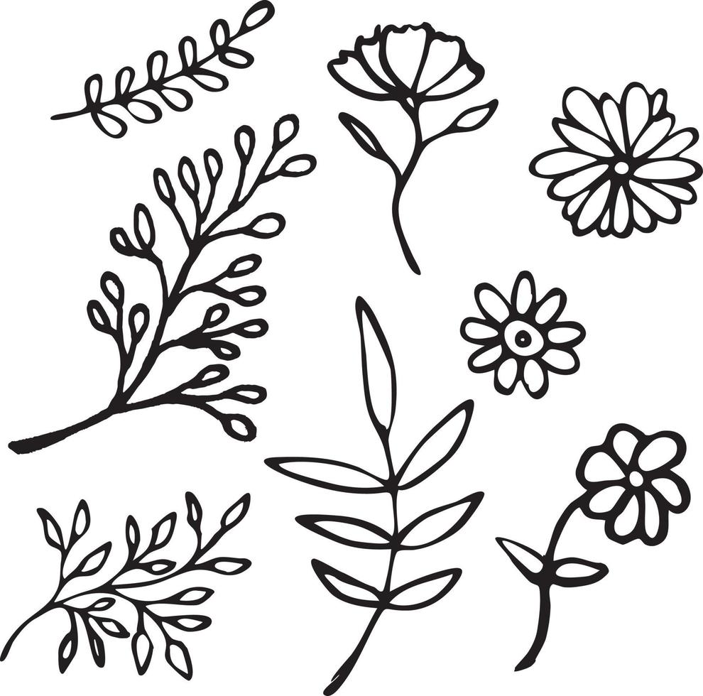 Hand Drawn black doodles branches, herbs, flowers, plants set vector