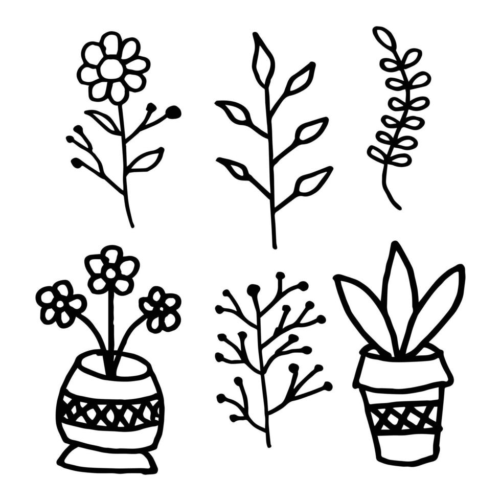 Hand Drawn Doodle of flower, fleshy leaves, plant pot, bud plant vector