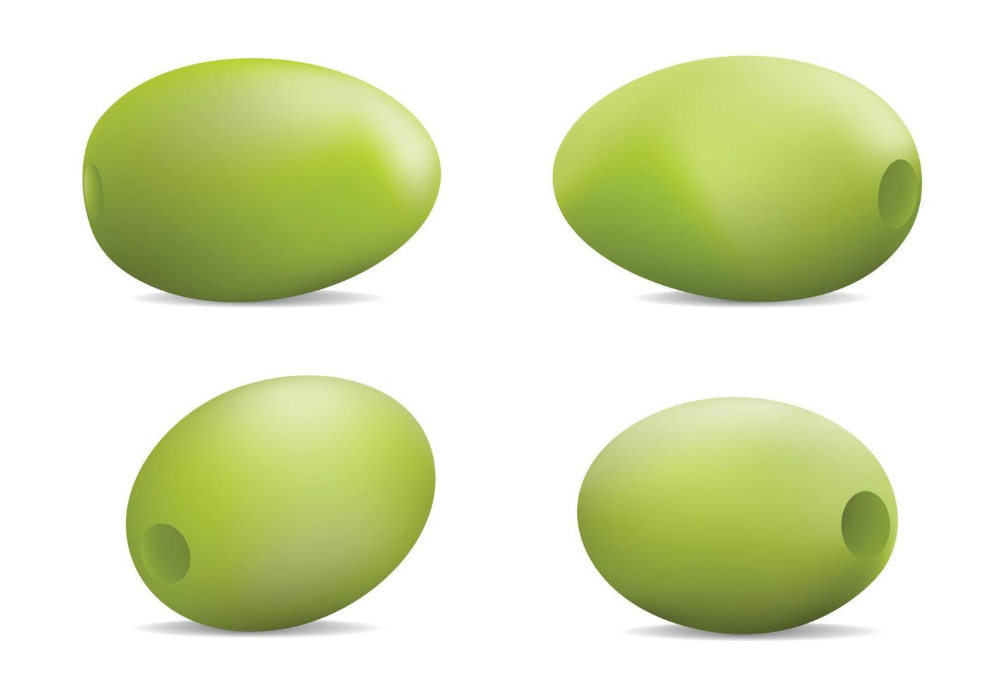 Festival olives oil icon set, realistic style vector
