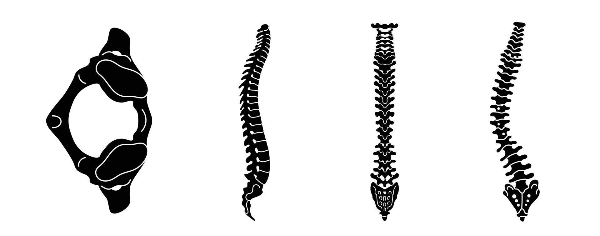 Spine icon set, simple style vector