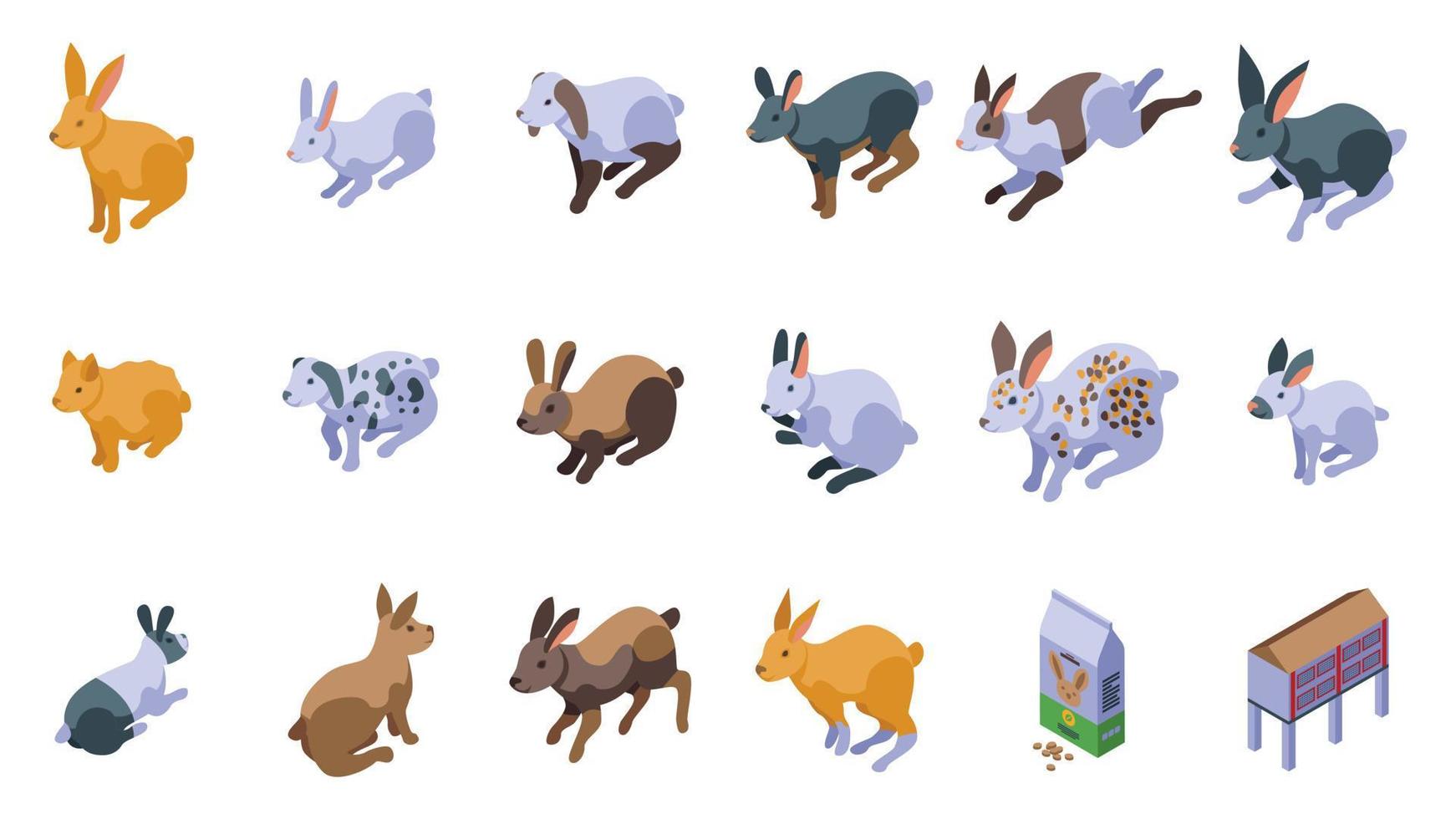 Rabbit breeding icons set isometric vector. Dutch animal vector