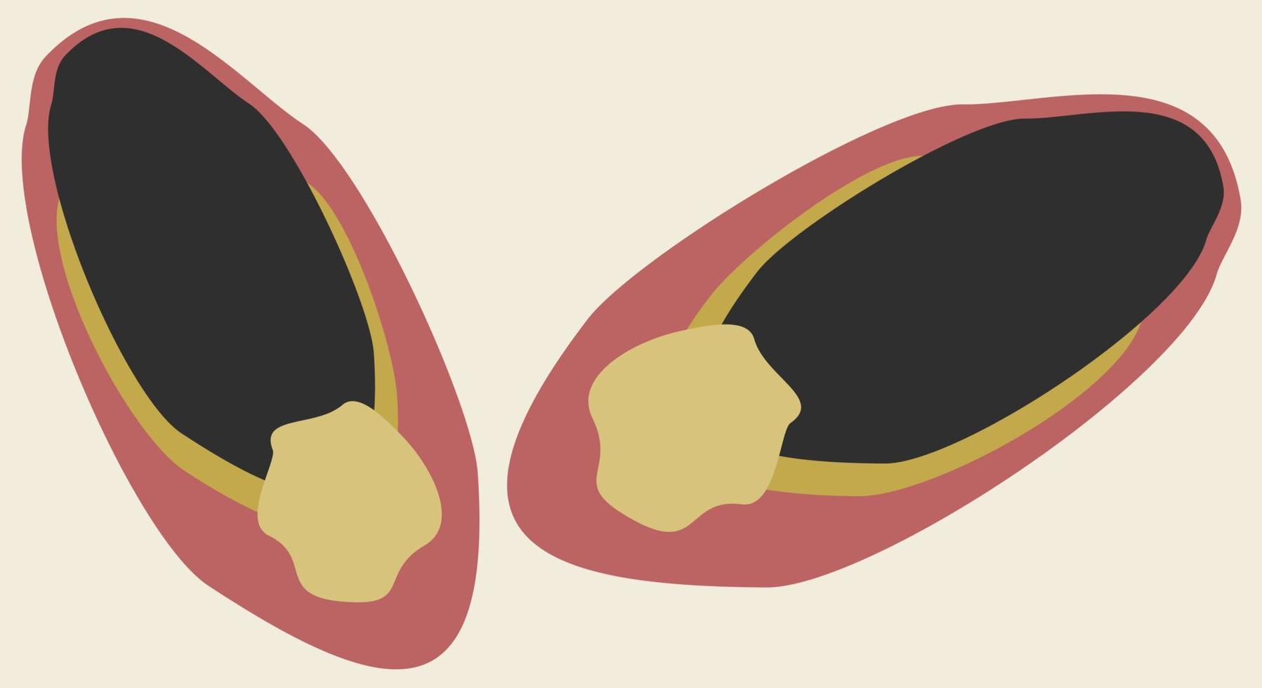 Vector illustration of female slippers with pompons.