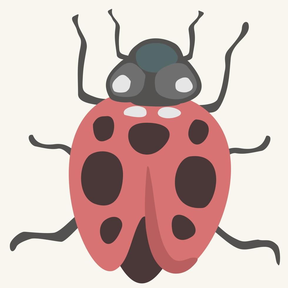 Vector ilustration of ladybird.