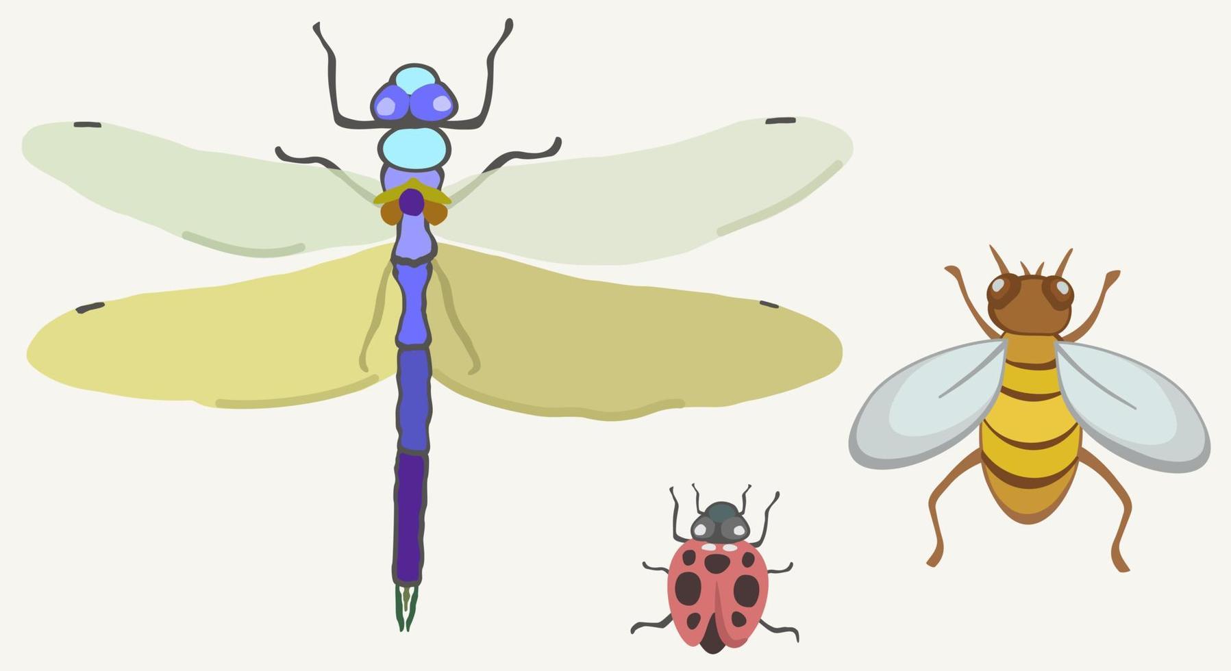 Vector illustration of insects on light backgound.