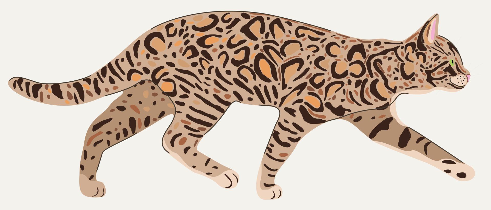 Vector illustration of bengal cat in profile.
