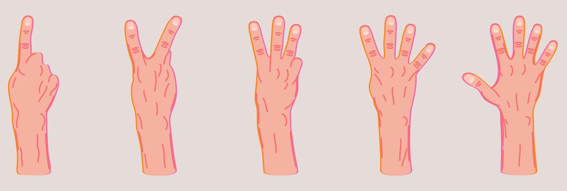 conjunto vectorial de diferentes gestos con las manos. vector