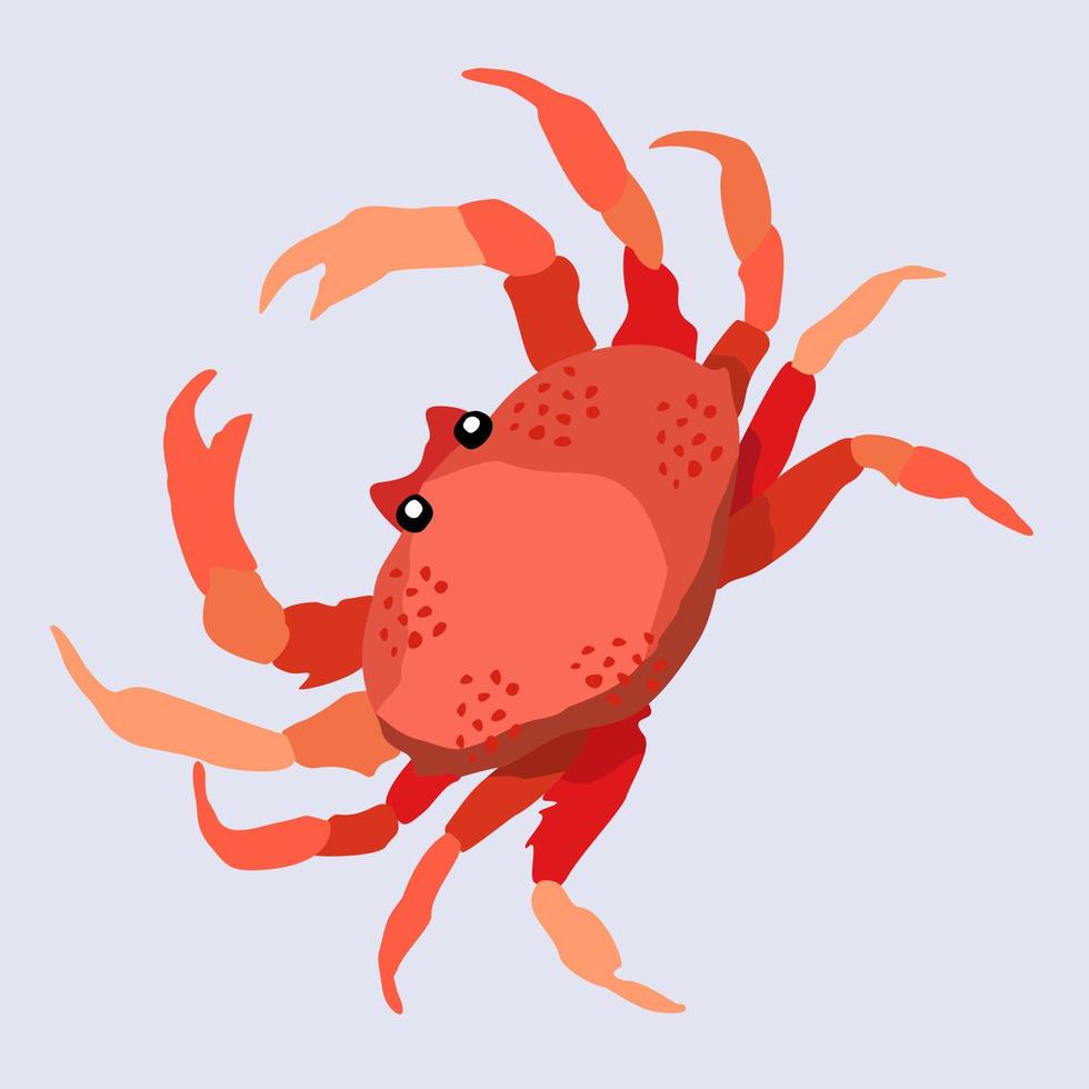 Vector illustration of red crab. Exotic marine animal.