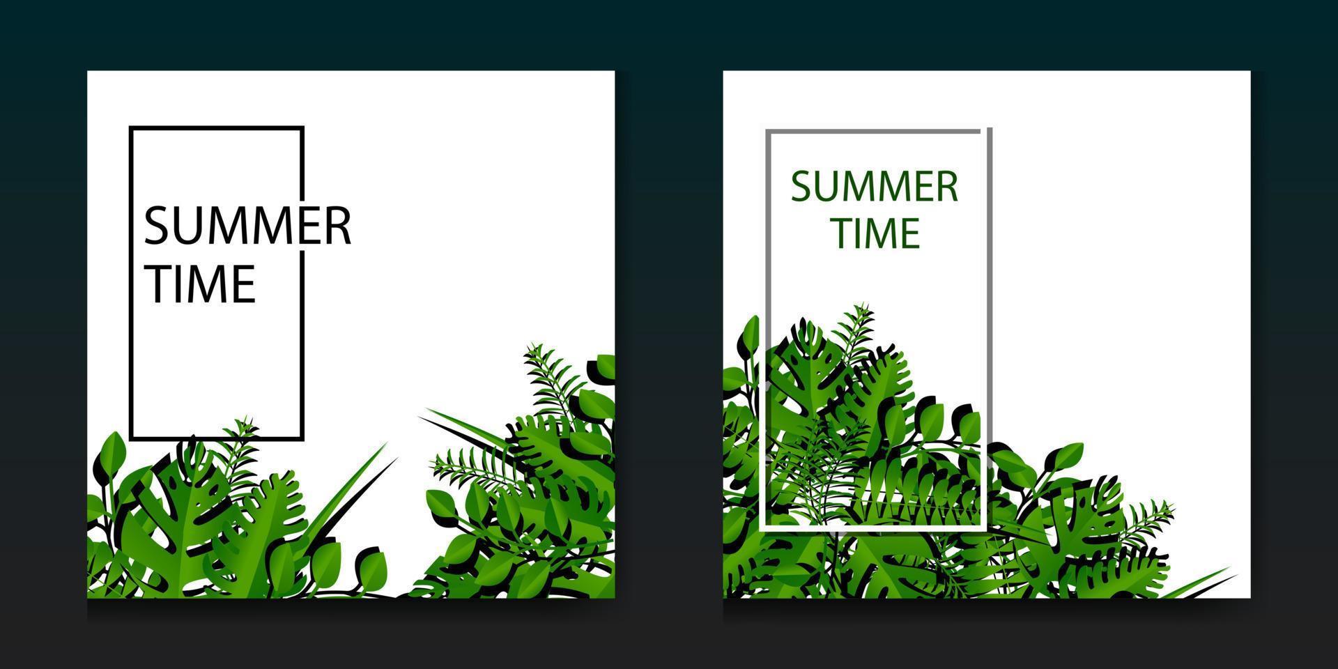 summer background with leaf decoration vector design
