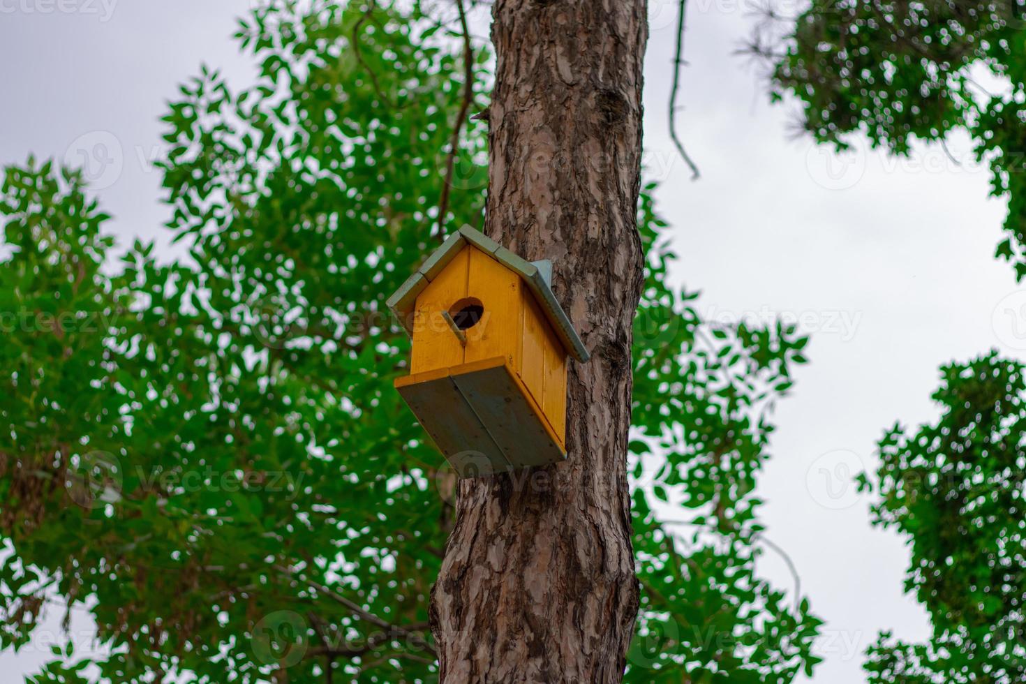 Bird house on a tree photo