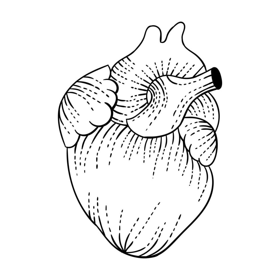 heart  logo design illustration vector