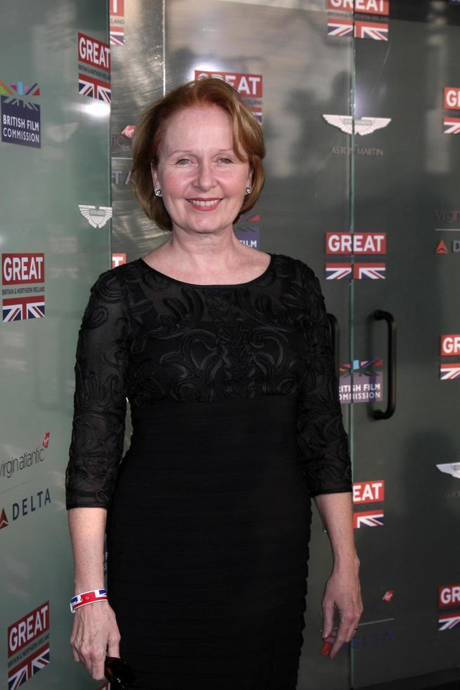 LOS ANGELES, FEB 20 -  Kate Burton at the GREAT British Film Reception Honoring The British Nominees Of The 87th Annual Academy Awards at a London Hotel on February 20, 2015 in West Hollywood, CA photo