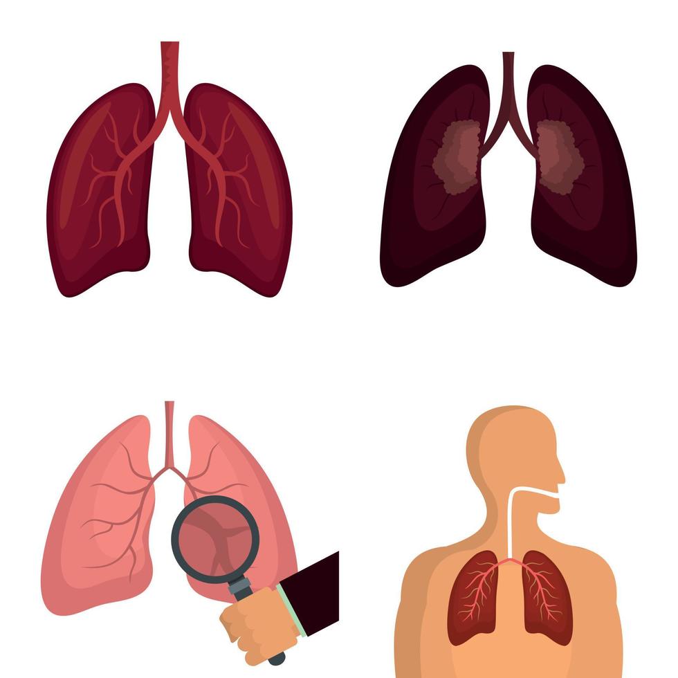 pulmón, órgano, humano, respiración, iconos, conjunto, vector, aislado vector