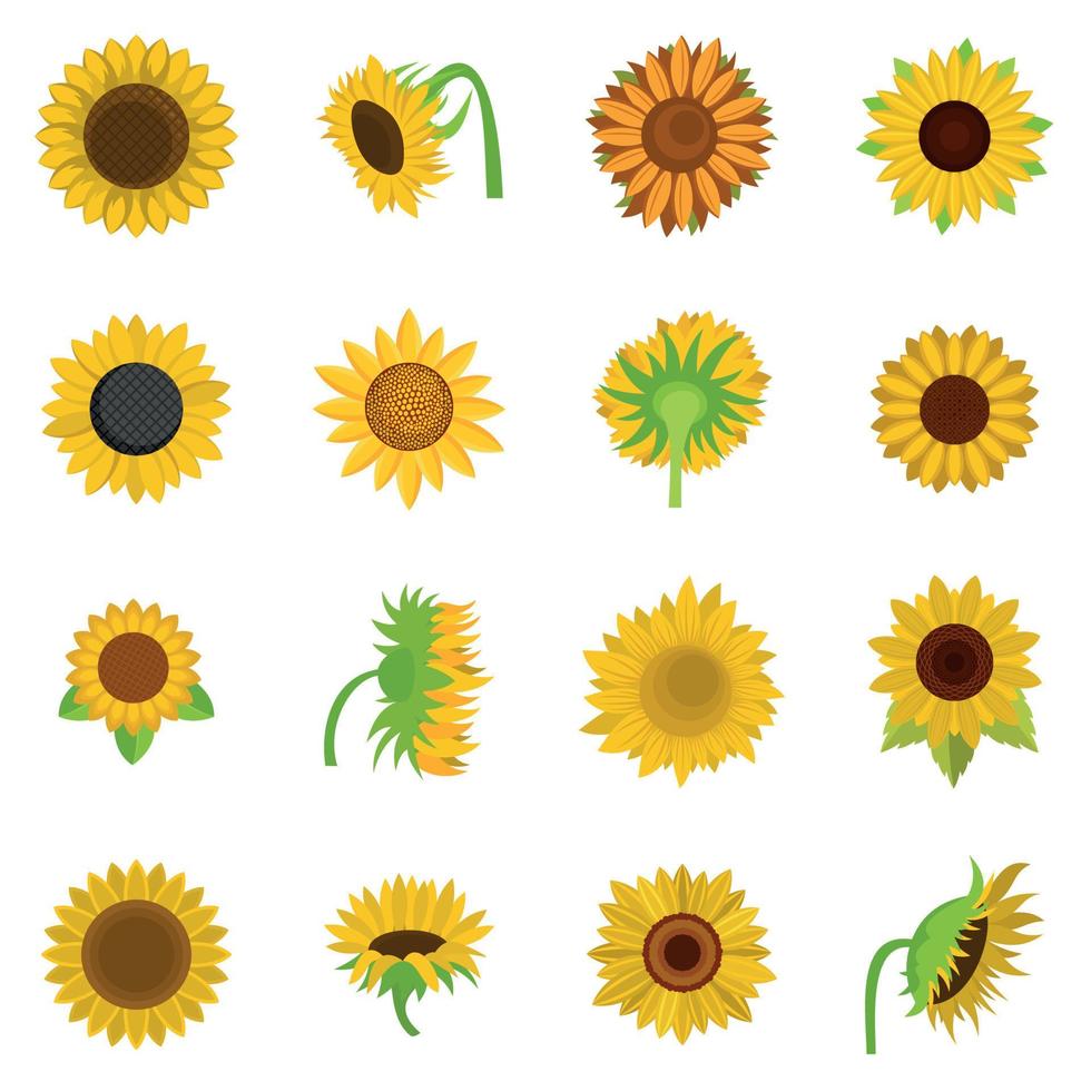 Sunflower blossom icons set vector isolated