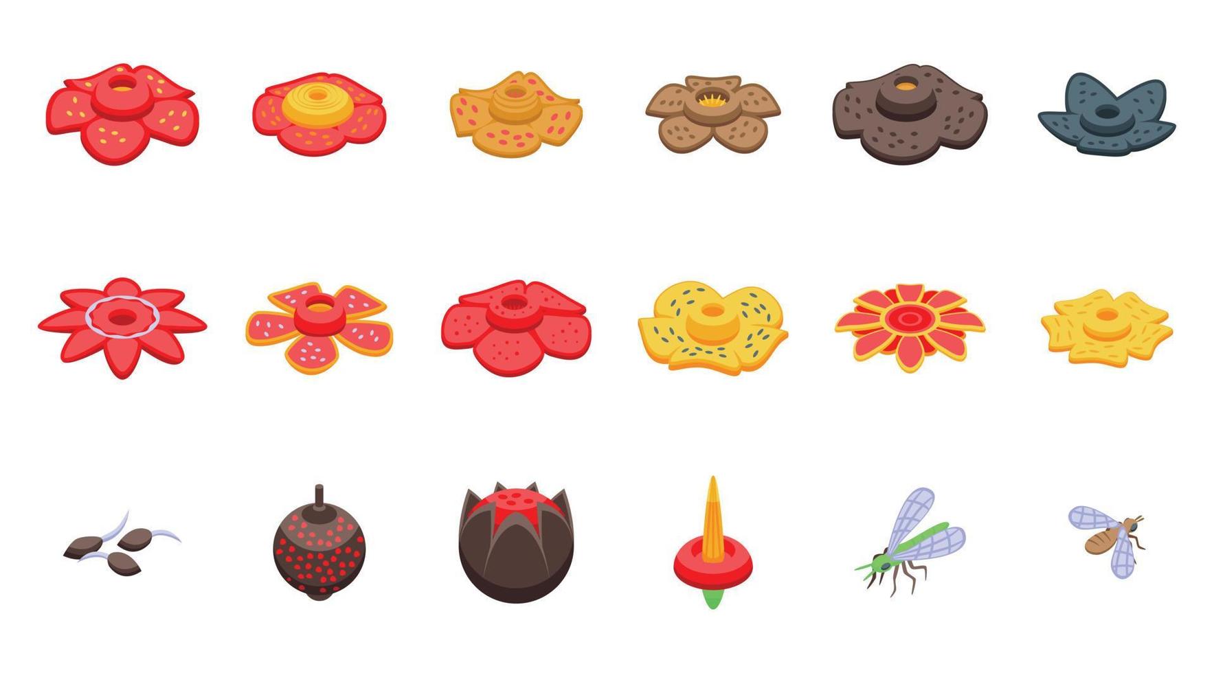 Rafflesia icons set isometric vector. Flower bloom vector