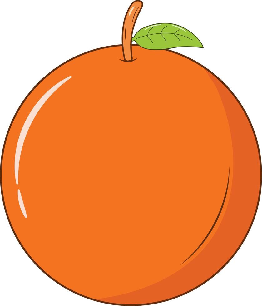 An Orange with Green Leaf Vector Illustration