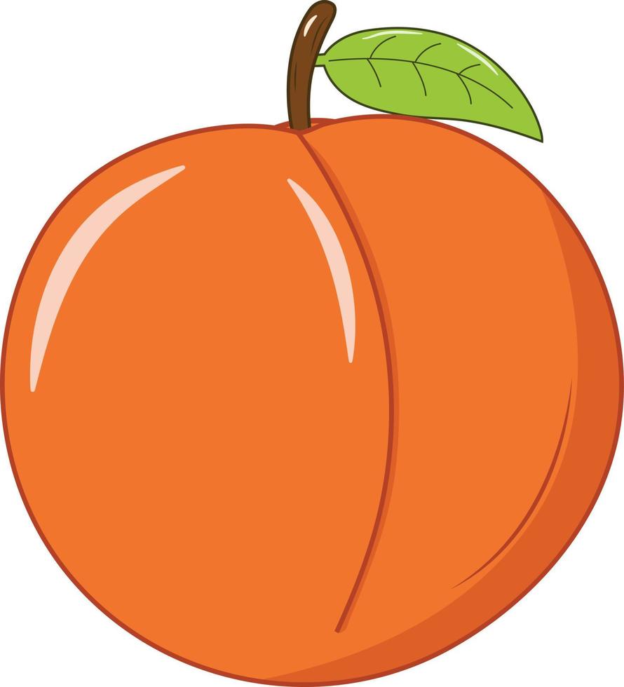 Fresh Peach with Green Leaf Vector Illustration